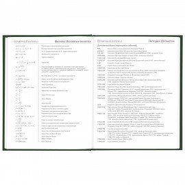 Дневник 5-11 класс 48 л., твердый, BRAUBERG, глянцевая ламинация, с подсказом, "Freestyle", 106395