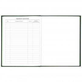 Дневник 5-11 класс 48 л., твердый, BRAUBERG, глянцевая ламинация, с подсказом, "Freestyle", 106395