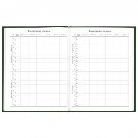 Дневник 5-11 класс 48 л., твердый, BRAUBERG, глянцевая ламинация, с подсказом, "Freestyle", 106395