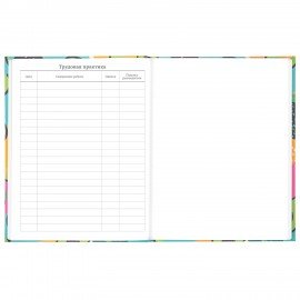 Дневник 5-11 класс 48 л., твердый, BRAUBERG, блестки, с подсказом, "Avocado", 106419