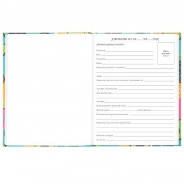 Дневник 5-11 класс 48 л., твердый, BRAUBERG, блестки, с подсказом, "Avocado", 106419