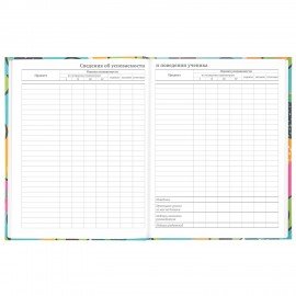 Дневник 5-11 класс 48 л., твердый, BRAUBERG, блестки, с подсказом, "Avocado", 106419