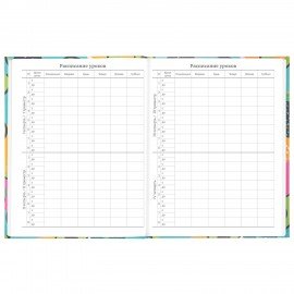 Дневник 5-11 класс 48 л., твердый, BRAUBERG, блестки, с подсказом, "Avocado", 106419