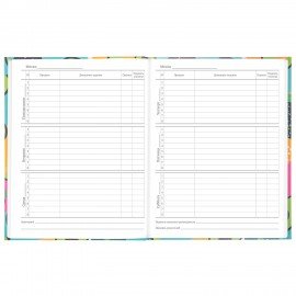 Дневник 5-11 класс 48 л., твердый, BRAUBERG, блестки, с подсказом, "Avocado", 106419