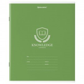 Тетрадь 18 л. BRAUBERG линия, обложка картон, "ОДНОТОННЫЙ С ЭМБЛЕМОЙ", 106483