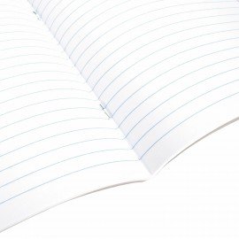 Тетрадь 24 л. BRAUBERG линия, обложка картон, "ЯРКИЙ МИКС", 106488