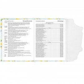 Дневник 1-11 класс 48 л., кожзам (твердая), магнитный клапан, ЮНЛАНДИЯ, "Котик", 106562