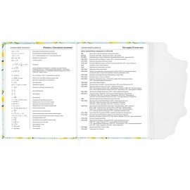 Дневник 1-11 класс 48 л., кожзам (твердая), магнитный клапан, ЮНЛАНДИЯ, "Котик", 106562