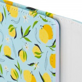 Дневник 1-11 класс 48 л., кожзам (твердая), магнитный клапан, ЮНЛАНДИЯ, "Котик", 106562