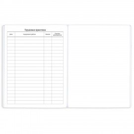 Дневник 1-11 класс 40 л., на скобе, ПИФАГОР, обложка картон, "Ежик", 106581