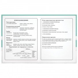 Дневник 1-4 класс 48 л., гибкая обложка, ЮНЛАНДИЯ, выборочный лак, с подсказом, "Вишенки", 106589