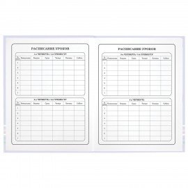 Дневник 1-4 класс 48 л., твердый, ЮНЛАНДИЯ, глянцевая ламинация, с подсказом, "Совушка", 106594