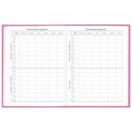 Дневник 1-11 класс 48 л., твердый, BRAUBERG, глянцевая ламинация, с подсказом, "Ice cream party", 106602