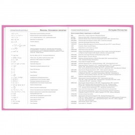 Дневник 1-11 класс 48 л., твердый, BRAUBERG, глянцевая ламинация, с подсказом, "Ice cream party", 106602