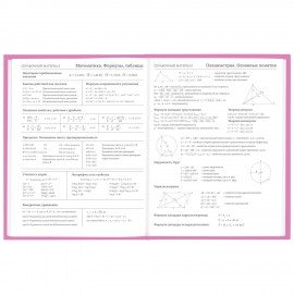 Дневник 1-11 класс 48 л., твердый, BRAUBERG, глянцевая ламинация, с подсказом, "Ice cream party", 106602