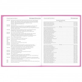 Дневник 1-11 класс 48 л., твердый, BRAUBERG, глянцевая ламинация, с подсказом, "Ice cream party", 106602