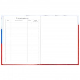 Дневник 5-11 класс 48 л., твердый, BRAUBERG, глянцевая ламинация, с подсказом, "Герб", 106625