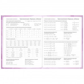 Дневник 5-11 класс 48 л., твердый, BRAUBERG, глянцевая ламинация, с подсказом, "Кактусы", 106628