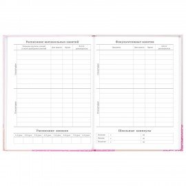 Дневник 5-11 класс 48 л., твердый, BRAUBERG, глянцевая ламинация, с подсказом, "Летний", 106631