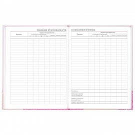 Дневник 5-11 класс 48 л., твердый, BRAUBERG, глянцевая ламинация, с подсказом, "Летний", 106631