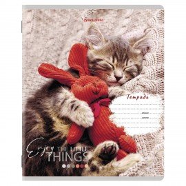 Тетради 12 л. КОМПЛЕКТ 10 шт. BRAUBERG, клетка, обложка картон, ПИТОМЦЫ, 106663