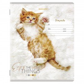 Тетради 12 л. КОМПЛЕКТ 10 шт. BRAUBERG, клетка, обложка картон, ПИТОМЦЫ, 106663