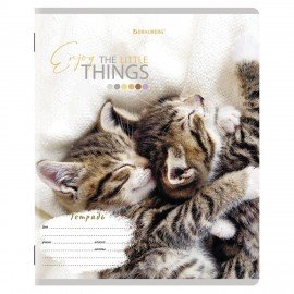 Тетради 12 л. КОМПЛЕКТ 10 шт. BRAUBERG, клетка, обложка картон, ПИТОМЦЫ, 106663