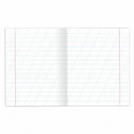 Тетради ДЭК 12 л. КОМПЛЕКТ 20 шт. с ЗЕЛЁНОЙ обложкой, ЮНЛАНДИЯ, косая линия, 106743