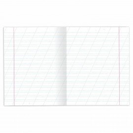 Тетради ДЭК 12 л. КОМПЛЕКТ 10 шт. с ЗЕЛЁНОЙ обложкой, ЮНЛАНДИЯ, косая линия, 106748