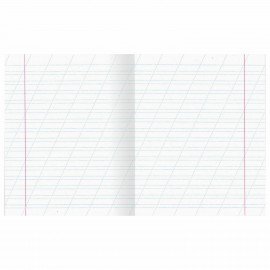 Тетради ДЭК 12 л. КОМПЛЕКТ 20 шт., с ЗЕЛЁНОЙ обложкой, ЮНЛАНДИЯ, клетка+косая линия, 106752