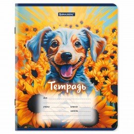 Тетради ДЭК 12 л. КОМПЛЕКТ 10 шт., BRAUBERG, клетка, обложка картон, Собачки, 106755