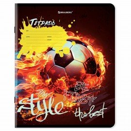 Тетради ДЭК 18 л. КОМПЛЕКТ 10 шт., BRAUBERG, клетка, обложка картон, Футбол, 106756