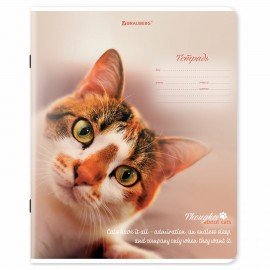 Тетради ДЭК 18 л. КОМПЛЕКТ 10 шт., BRAUBERG, клетка, обложка картон, Котики, 106757