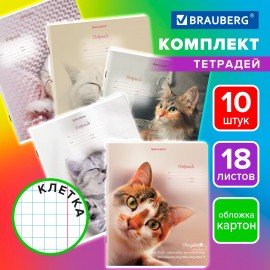 Тетради ДЭК 18 л. КОМПЛЕКТ 10 шт., BRAUBERG, клетка, обложка картон, Котики, 106757