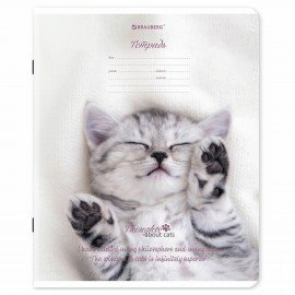 Тетради ДЭК 18 л. КОМПЛЕКТ 10 шт., BRAUBERG, клетка, обложка картон, Котики, 106757