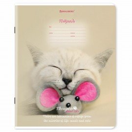 Тетради ДЭК 18 л. КОМПЛЕКТ 10 шт., BRAUBERG, клетка, обложка картон, Котики, 106757