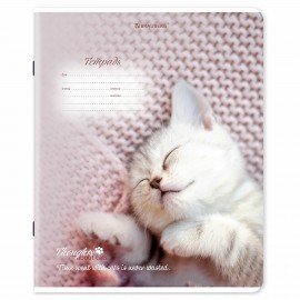 Тетради ДЭК 18 л. КОМПЛЕКТ 10 шт., BRAUBERG, клетка, обложка картон, Котики, 106757