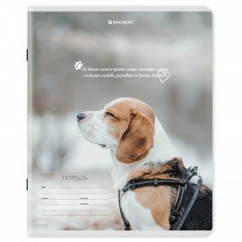 Тетради ДЭК 18 л. КОМПЛЕКТ 10 шт., BRAUBERG, клетка, обложка картон, Щеночки, 106758