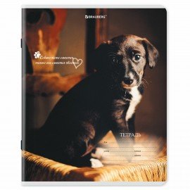 Тетради ДЭК 18 л. КОМПЛЕКТ 10 шт., BRAUBERG, клетка, обложка картон, Щеночки, 106758