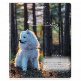 Тетради ДЭК 18 л. КОМПЛЕКТ 10 шт., BRAUBERG, клетка, обложка картон, Щеночки, 106758