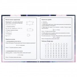 Дневник 1-4 класс 48 л., твердый, ЮНЛАНДИЯ, глянцевая ламинация, с подсказом, "Аниме", 106828