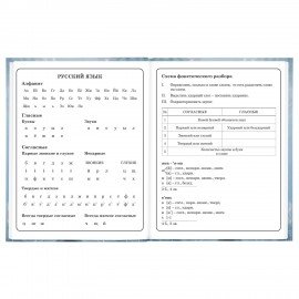 Дневник 1-4 класс 48 л., твердый, BRAUBERG, глянцевая ламинация, с подсказом, "Волк", 106833