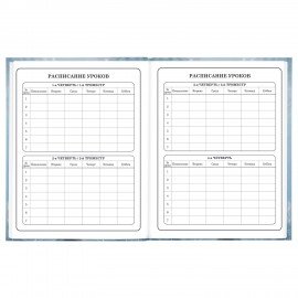 Дневник 1-4 класс 48 л., твердый, BRAUBERG, глянцевая ламинация, с подсказом, "Волк", 106833