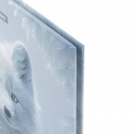 Дневник 1-4 класс 48 л., твердый, BRAUBERG, глянцевая ламинация, с подсказом, "Волк", 106833