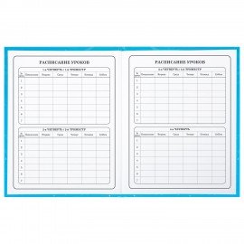 Дневник 1-4 класс 48 л., твердый, BRAUBERG, глянцевая ламинация, с подсказом, "Капибара", 106837