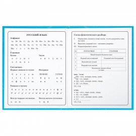 Дневник 1-4 класс 48 л., твердый, BRAUBERG, глянцевая ламинация, с подсказом, "Капибара", 106837