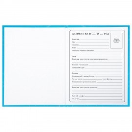 Дневник 1-4 класс 48 л., твердый, BRAUBERG, глянцевая ламинация, с подсказом, "Капибара", 106837