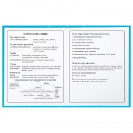 Дневник 1-4 класс 48 л., твердый, BRAUBERG, глянцевая ламинация, с подсказом, "Капибара", 106837