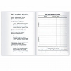 Дневник 1-11 класс 40 л., твердый, BRAUBERG, глянцевая ламинация, "Сова", 106846