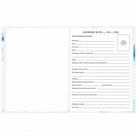 Дневник 1-11 класс 40 л., твердый, BRAUBERG, глянцевая ламинация, "Internet", 106856